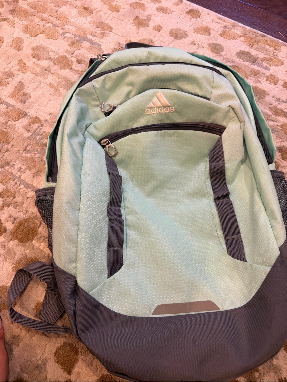 adidas Men's Mint Green and Dark Gray Backpack